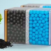 Sapling and Battery Membranes for a Lignin Battery
