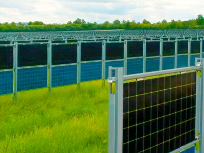 A field of vertical bifacial solar panels