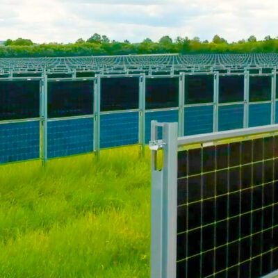 A field of vertical bifacial solar panels